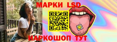 дмт Ставрополь