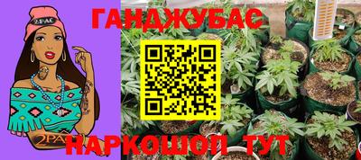 гашик Славгород