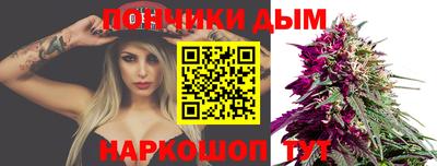 гашик Славгород