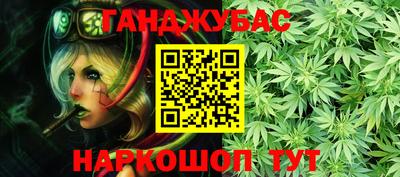 гашик Славгород