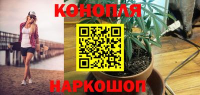 гашик Славгород
