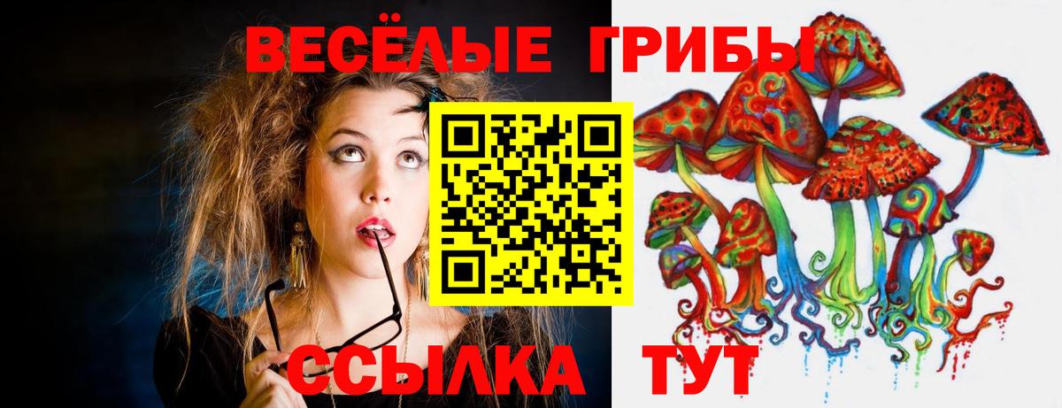 Галлюциногенные грибы Magic Shrooms  Вход с VPN  Усть-Джегута  как найти   Галлюциногенные грибы Psilocybine cubensis 