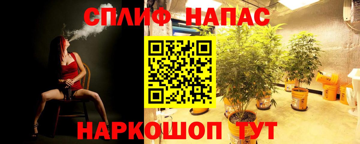 МАРИХУАНА ГИДРОПОН Усть-Джегута